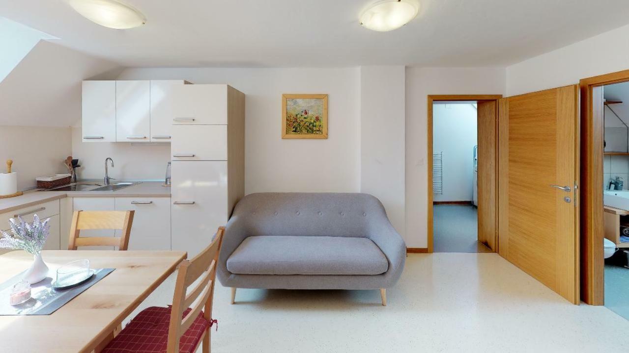 Apartmaji Pri Marodnu 보히니 외부 사진